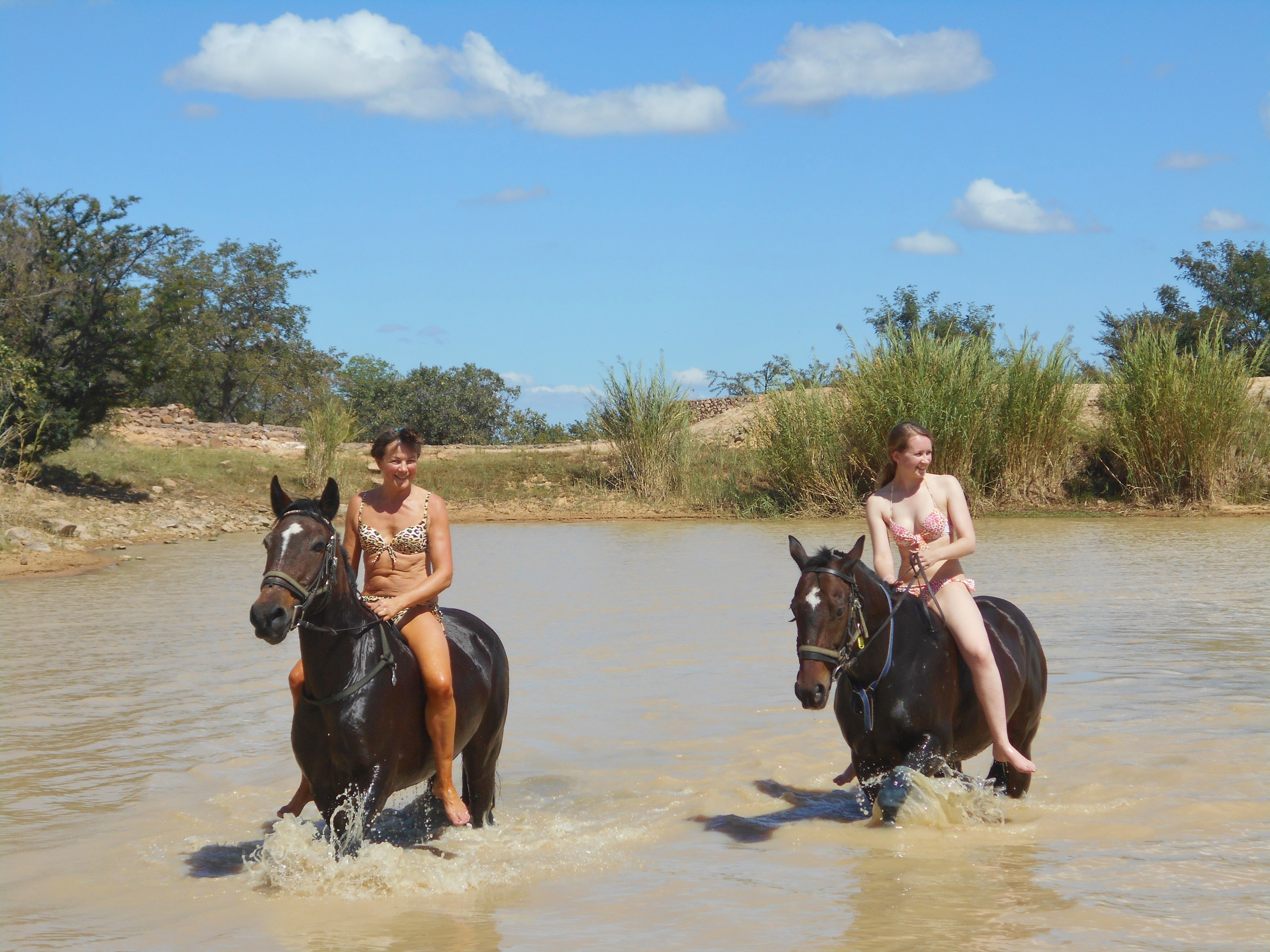 Fulfilling the dream of a lifetime - swimming in the dam with the horses