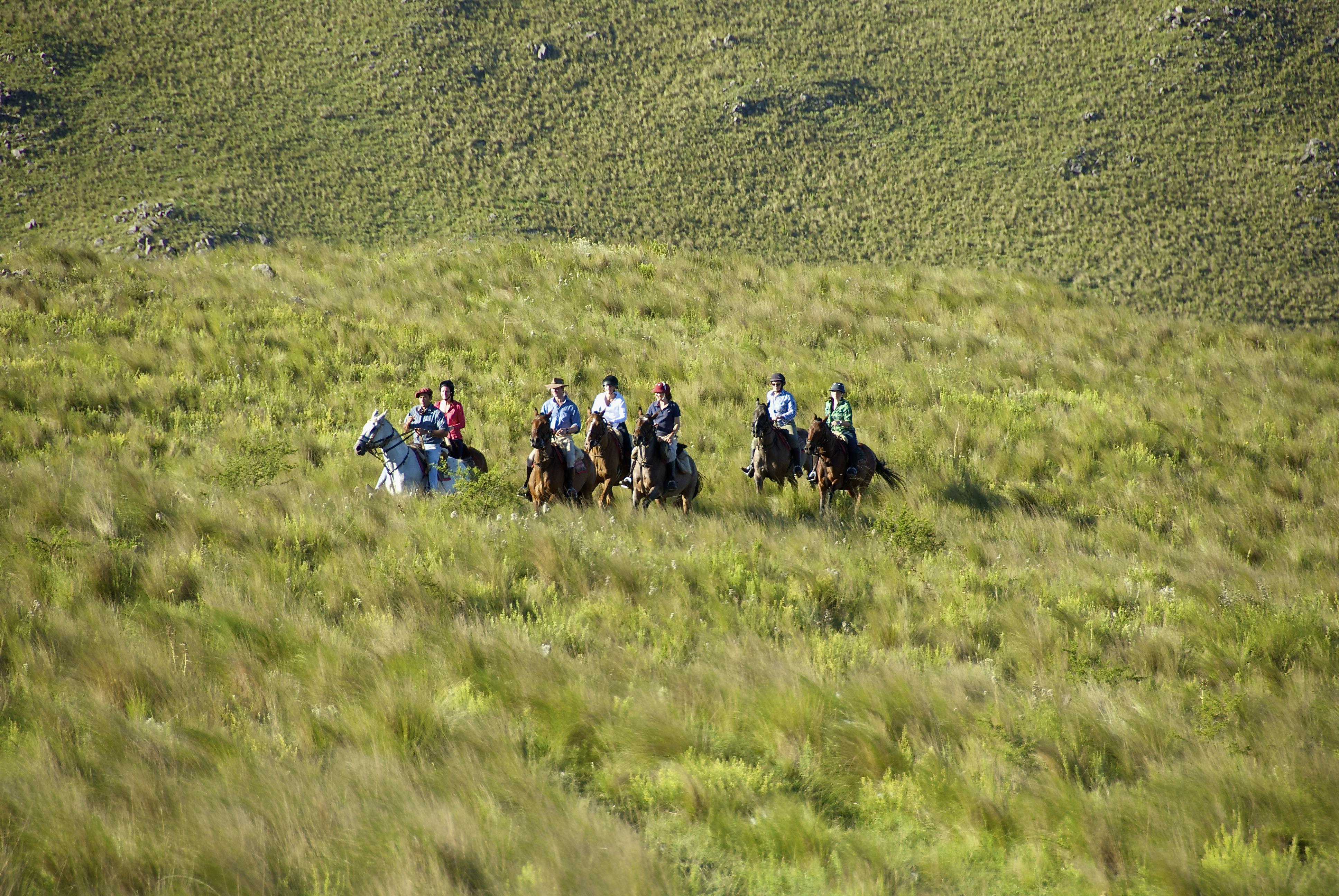 horse riding in argentina