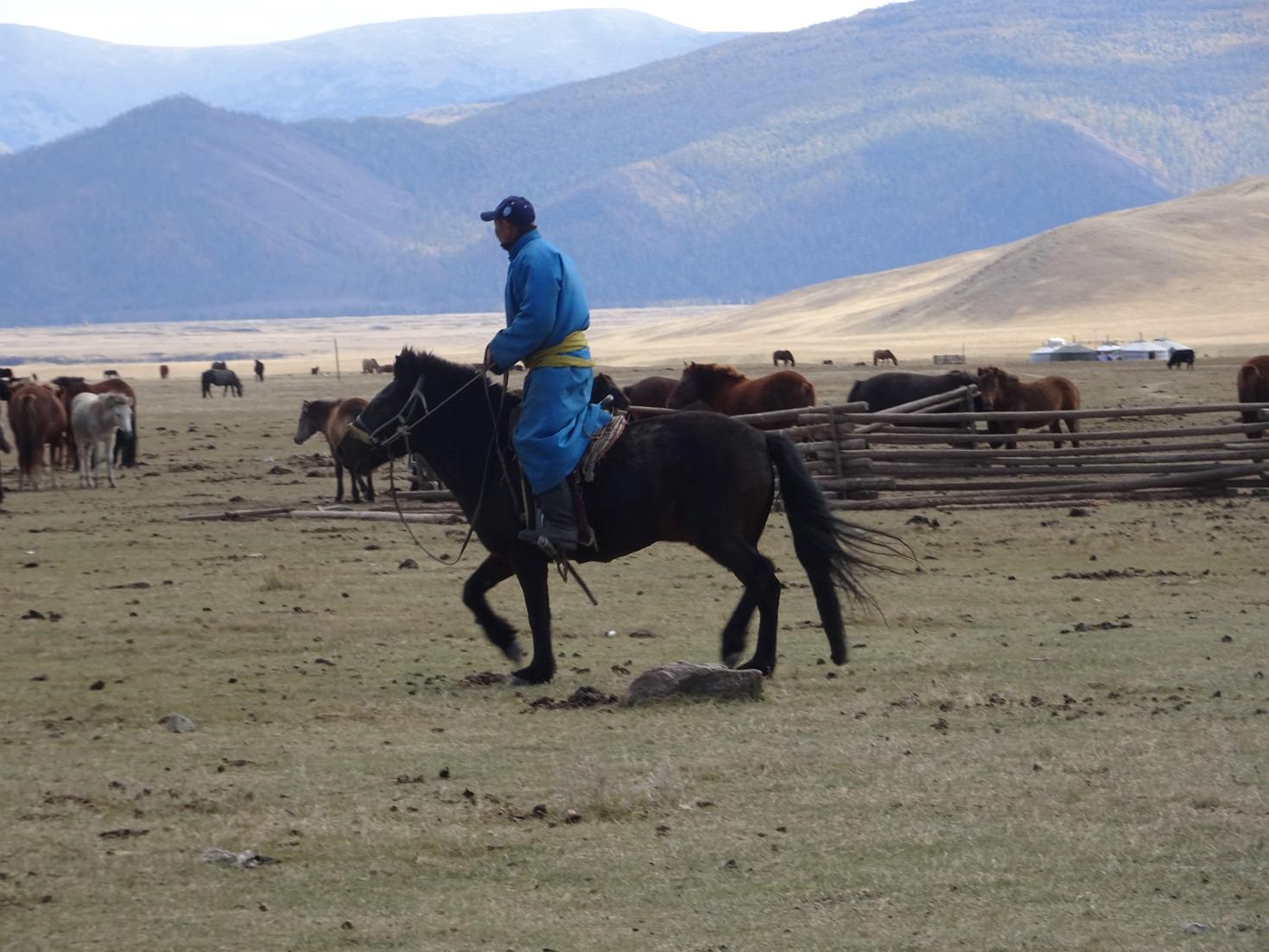 horse riding in mongolia