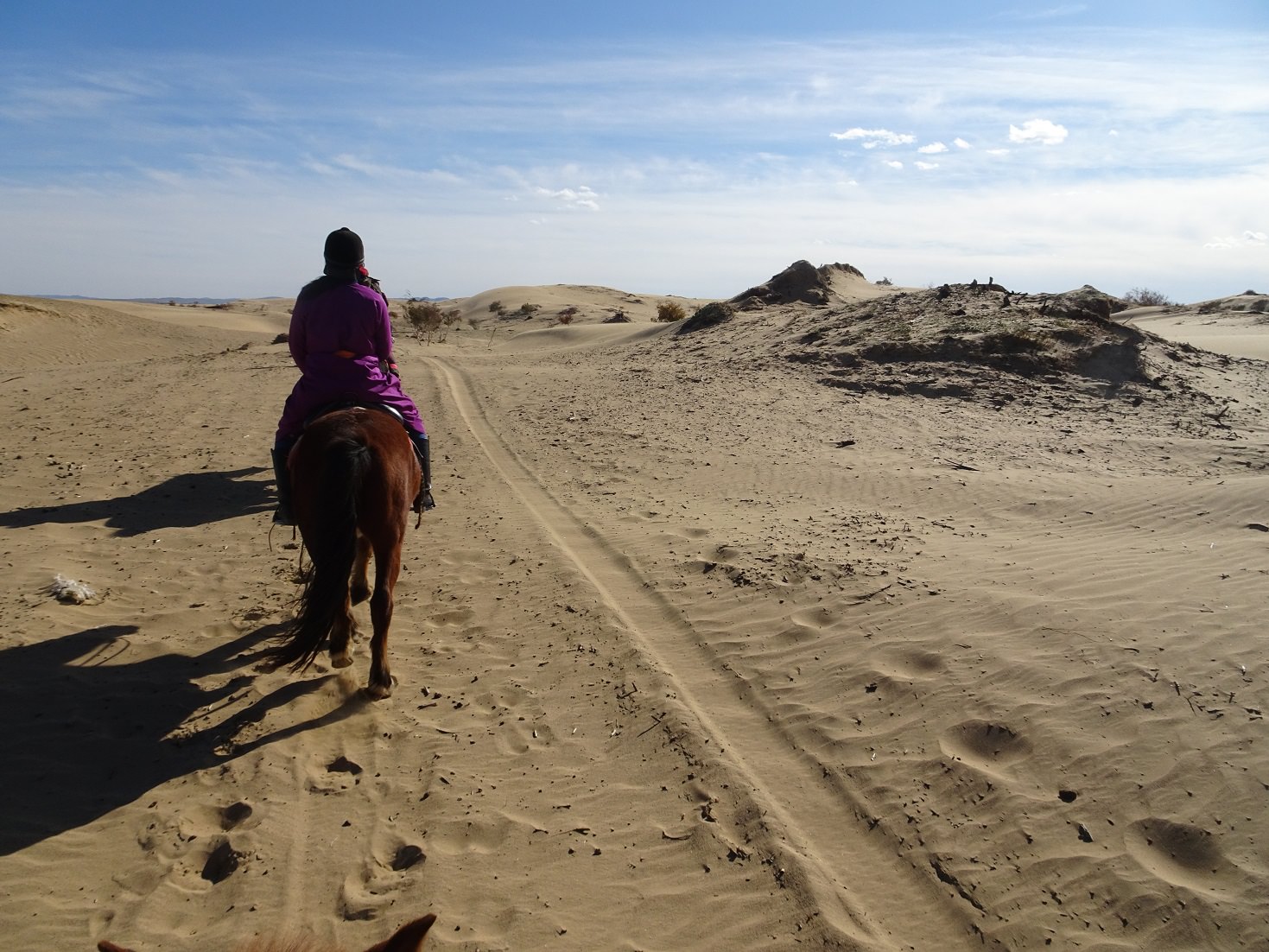 riding in the gobi desert