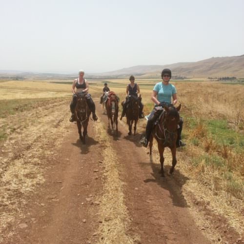Israel Galilee horse riding