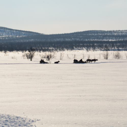 Sweden - winter