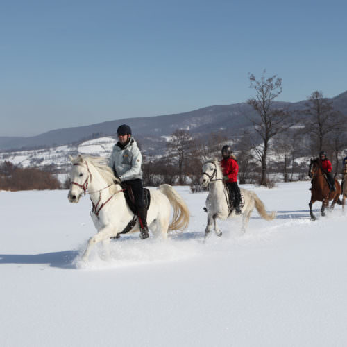 riding in the snow. Winter Riding Holidays with In The Saddle. Equus Silvania