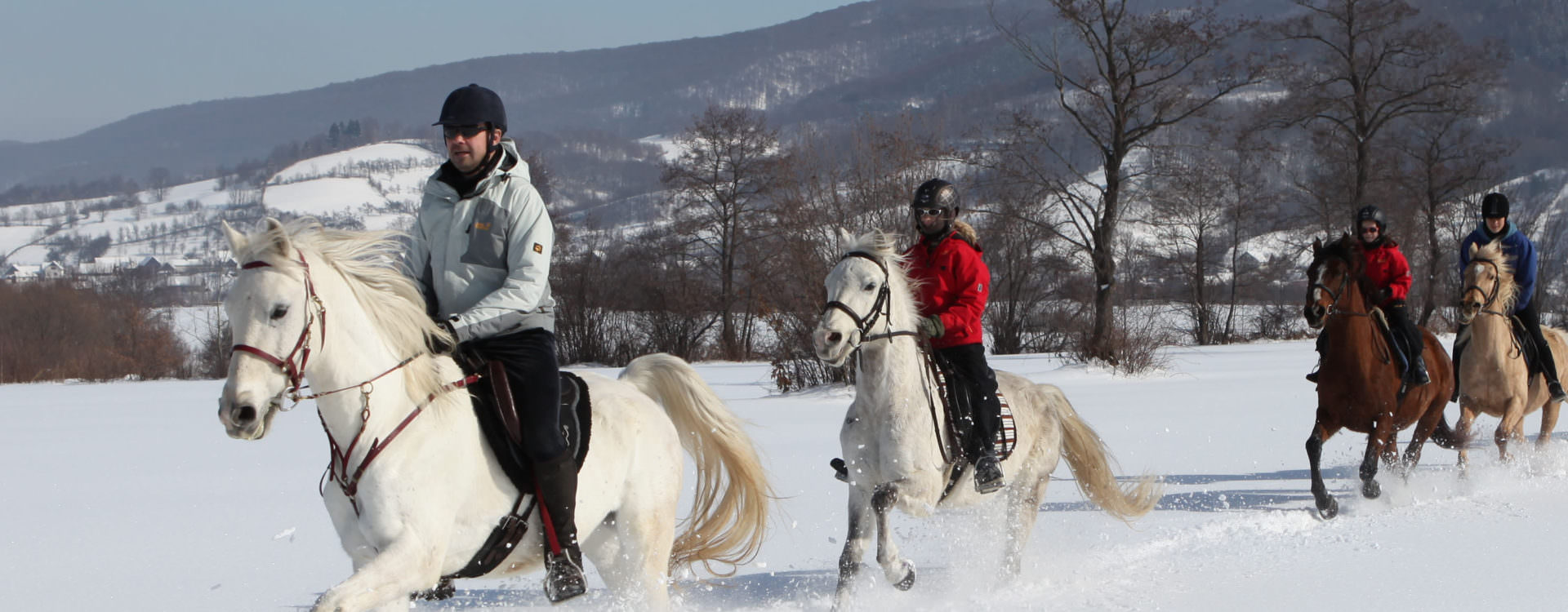 Riding in the snow in the Carpathian Mountains, Romania
