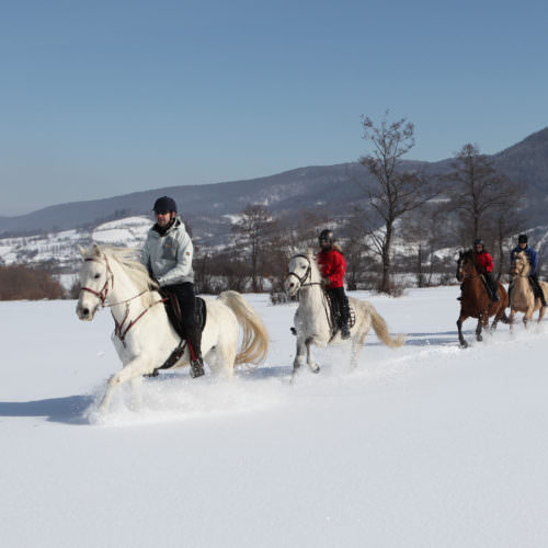 Riding in the snow in the Carpathian Mountains, Romania