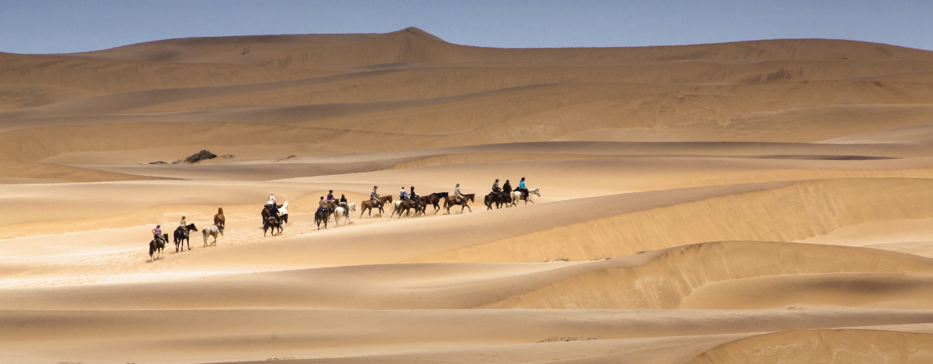 Crossing the Namib Desert on horseback