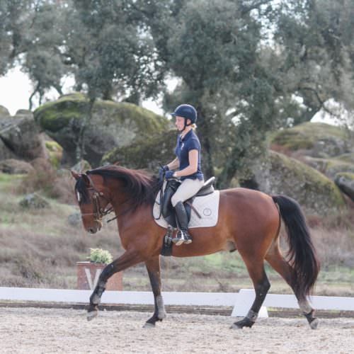 Portugal, Horse Riding, Dressage