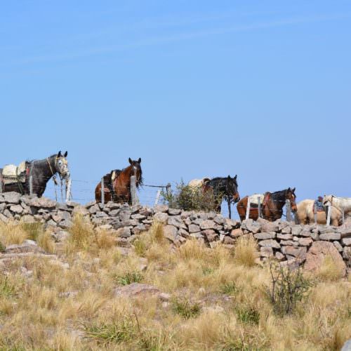Estancia Los Potreros, horses. In The Saddle Riding Holidays.