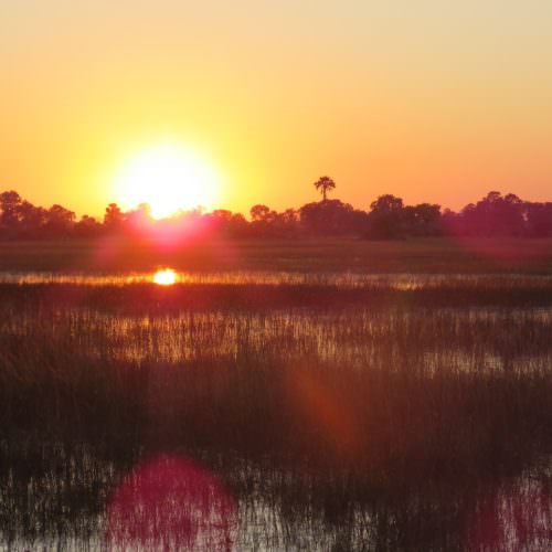 Kujwana riding safari exploring the western region of Botswana's Okavango Delta. African sunset.