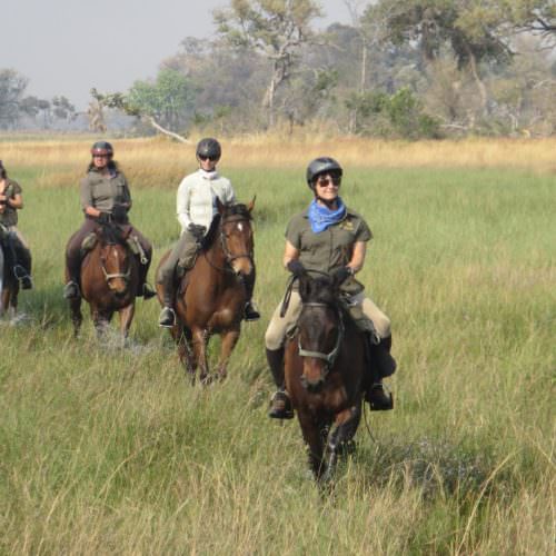 Kujwana riding safari exploring the western region of Botswana's Okavango Delta. Horses.