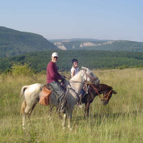In The Saddle trail riding holidays in Bulgaria. Horses in the countryside.