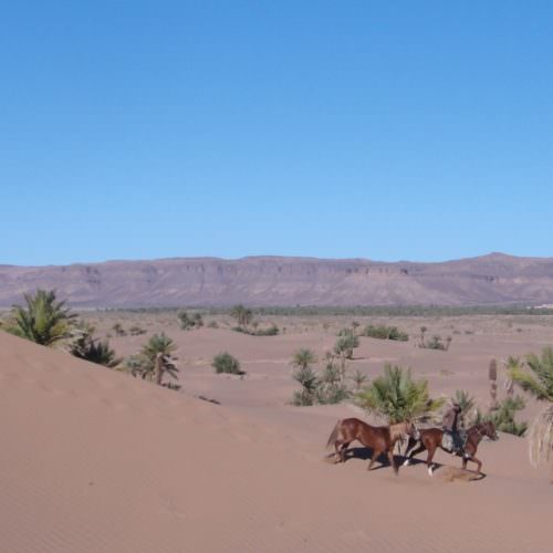 Riding in the Moroccan desert