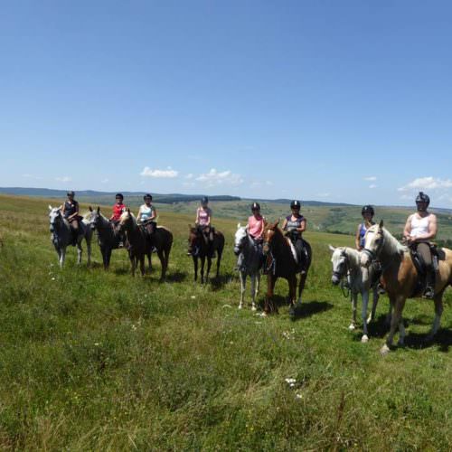 Riding holidays in Transylvania with In The Saddle. Horses