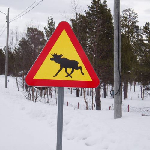 Sweden - winter