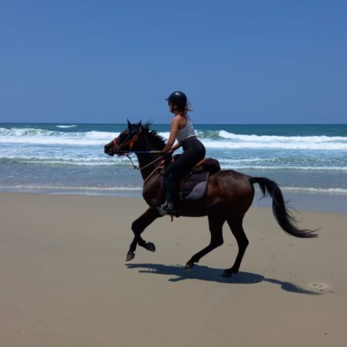 Cantering on the beach