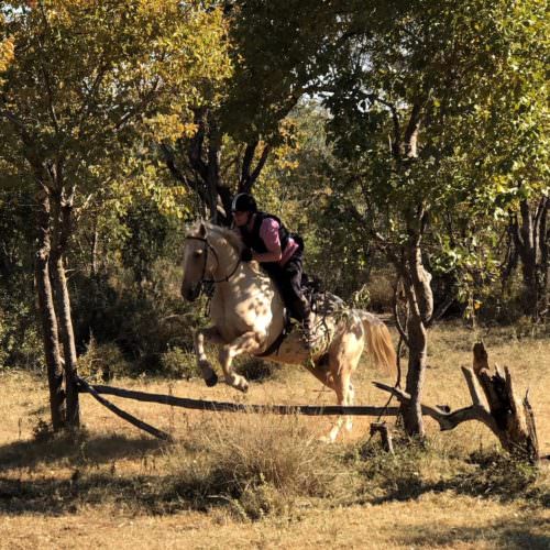 South Africa, Horse Riding