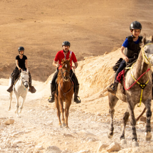 Riding in the Judean Desert