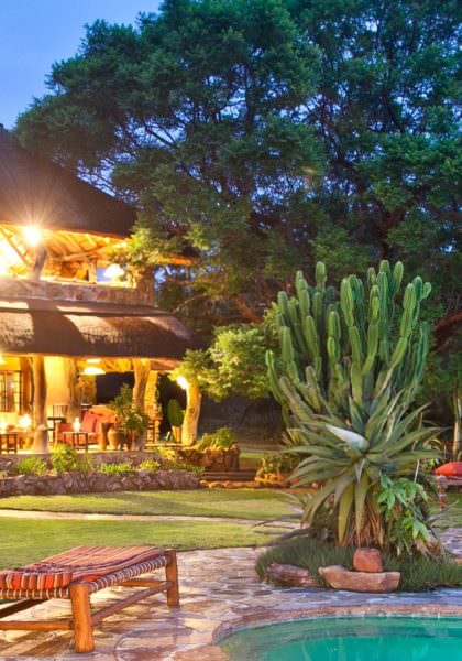 Ant's Nest Lodge - Waterberg, South Africa