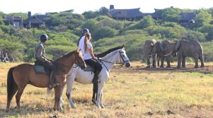 Viewing Elephant from horseback at Ol Donyo Lodge