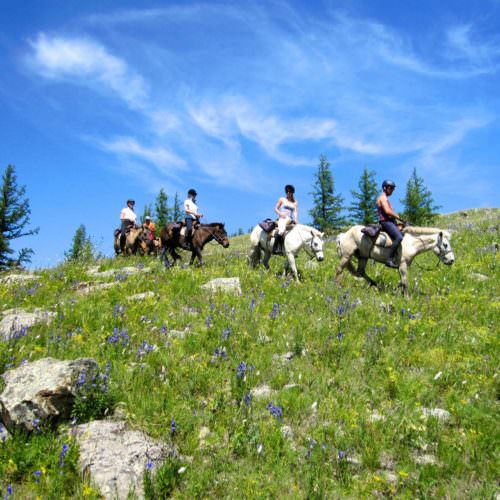Mongolia riding