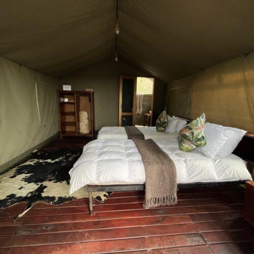 Inside a tent at Camp Davidson