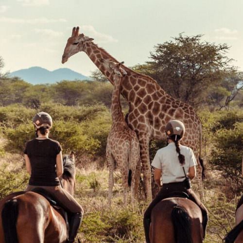 Riding safari at Kambaku Lodge, Namibia