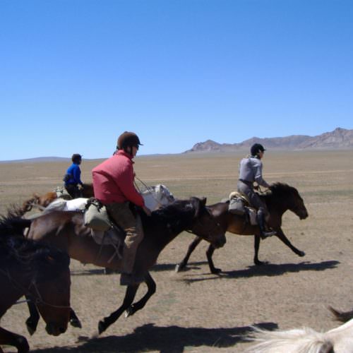 Mongolia gallop