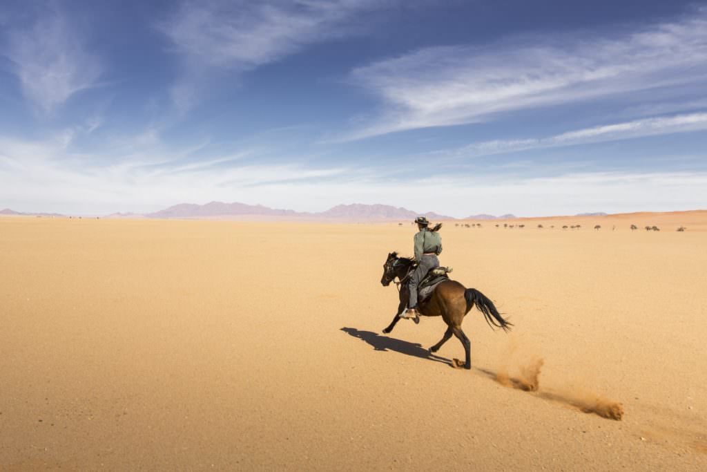 Cantering across the namib