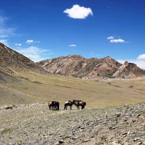 Mongolia mountains