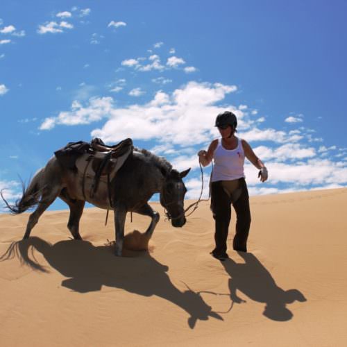 Mongolia sand dunes
