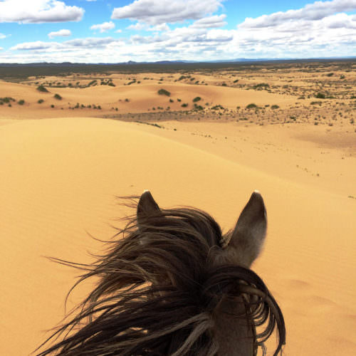 Mongolia Gobi desert