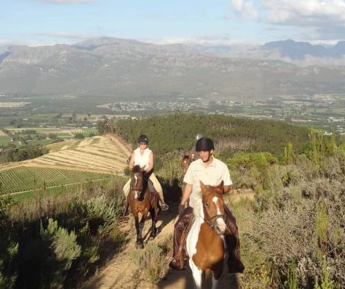 Cape Winelands riding