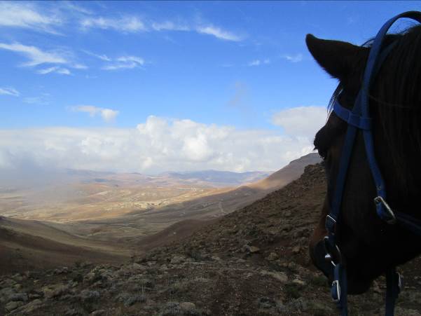 between the ears - Lesotho
