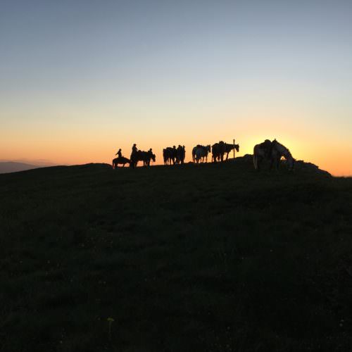 sunrise sunset in macedonia horses silhouette