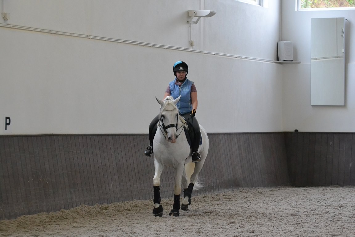 Horse riding, quinta do rol, portugal