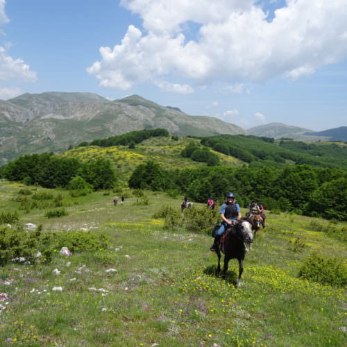 In The Saddle Riding Holidays. North Macedonia. Horses on the Trail