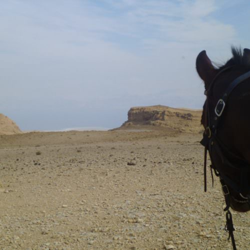 Towards the Dead Sea