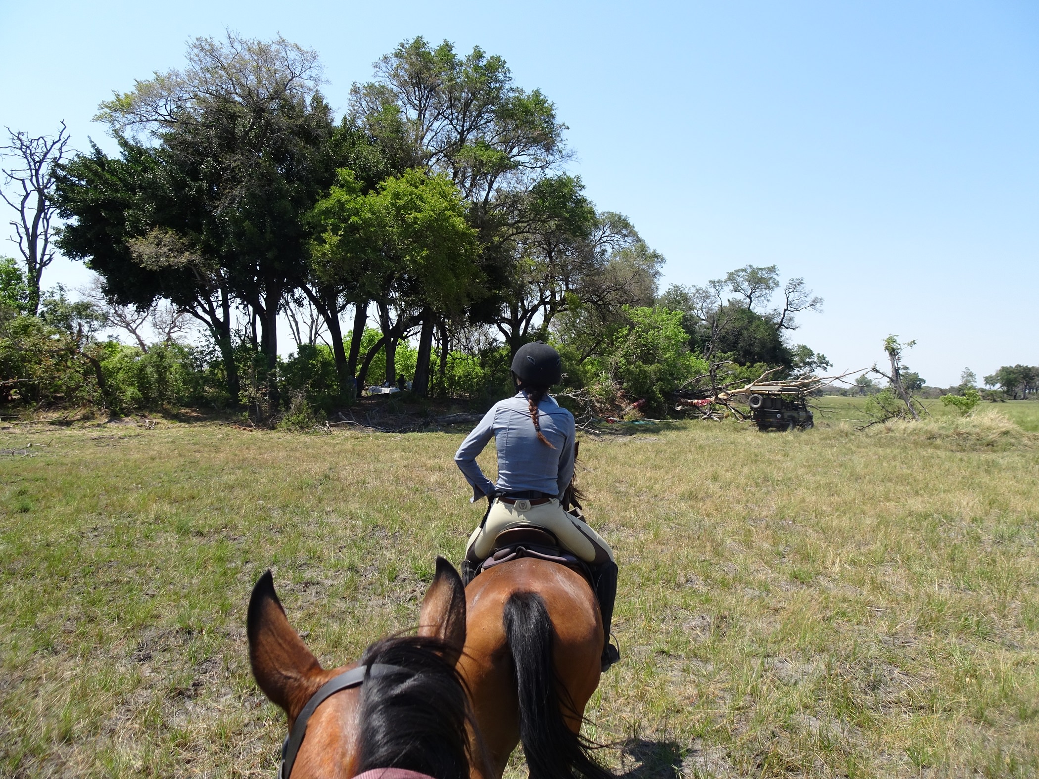 In The Saddle Riding Safari, Botswana. Horses 