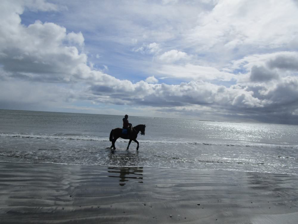 In The Saddle Riding Holidays. Argentina, Fin del Mundo. Horse and Rider on the beach