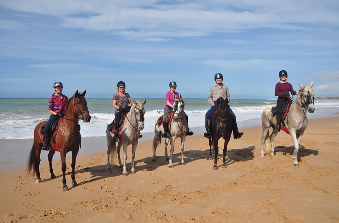 who goes on a riding holiday, horses beach riding group